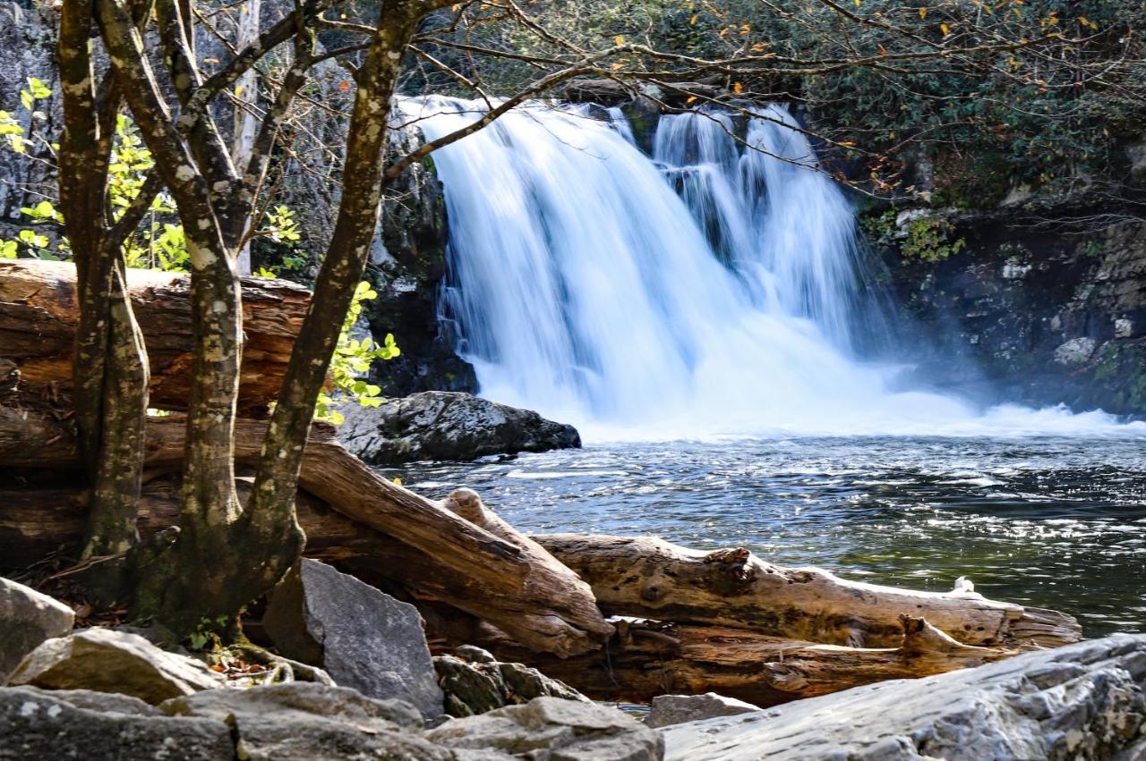 Kickin Back Whispering Pines 343 Lägenhet Pigeon Forge Exteriör bild